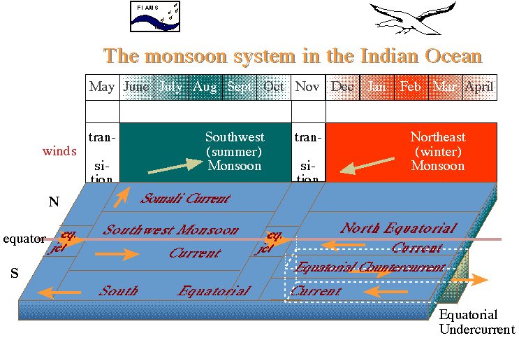 Monsoon System in the Indian Ocean