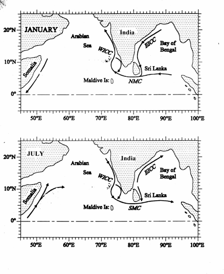Indian Ocean Currents in June and January